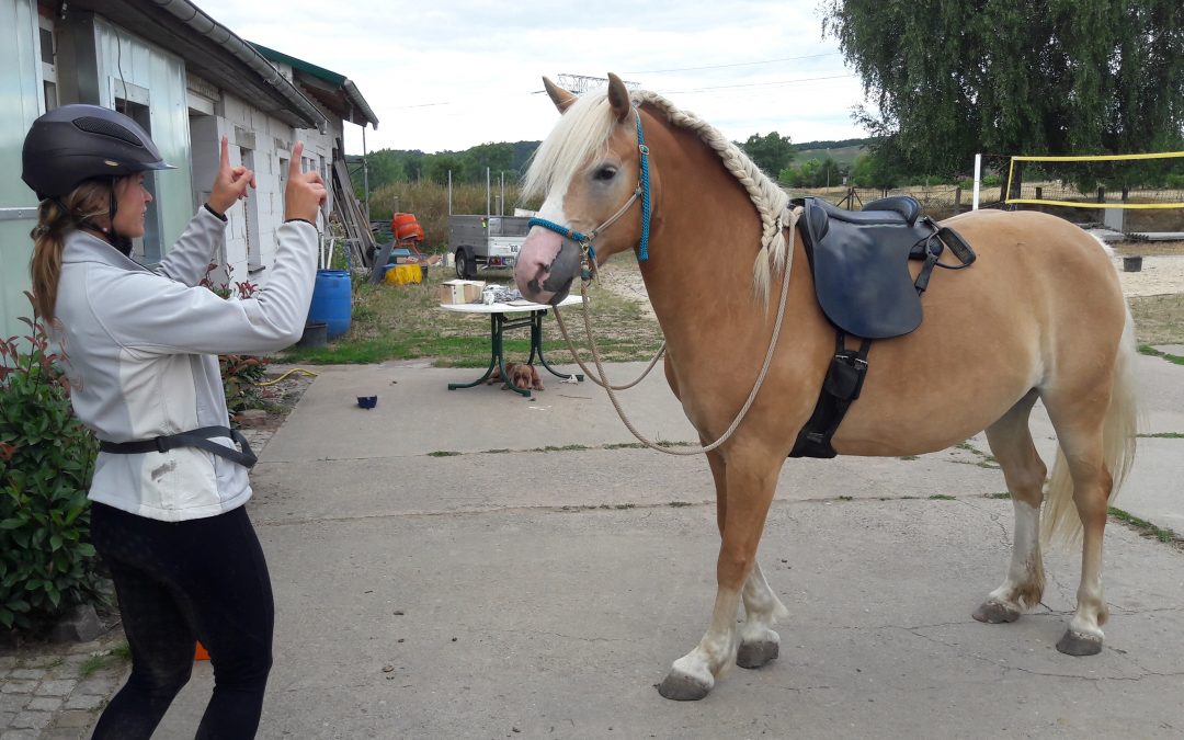 Neustart für Zauberpony Jette